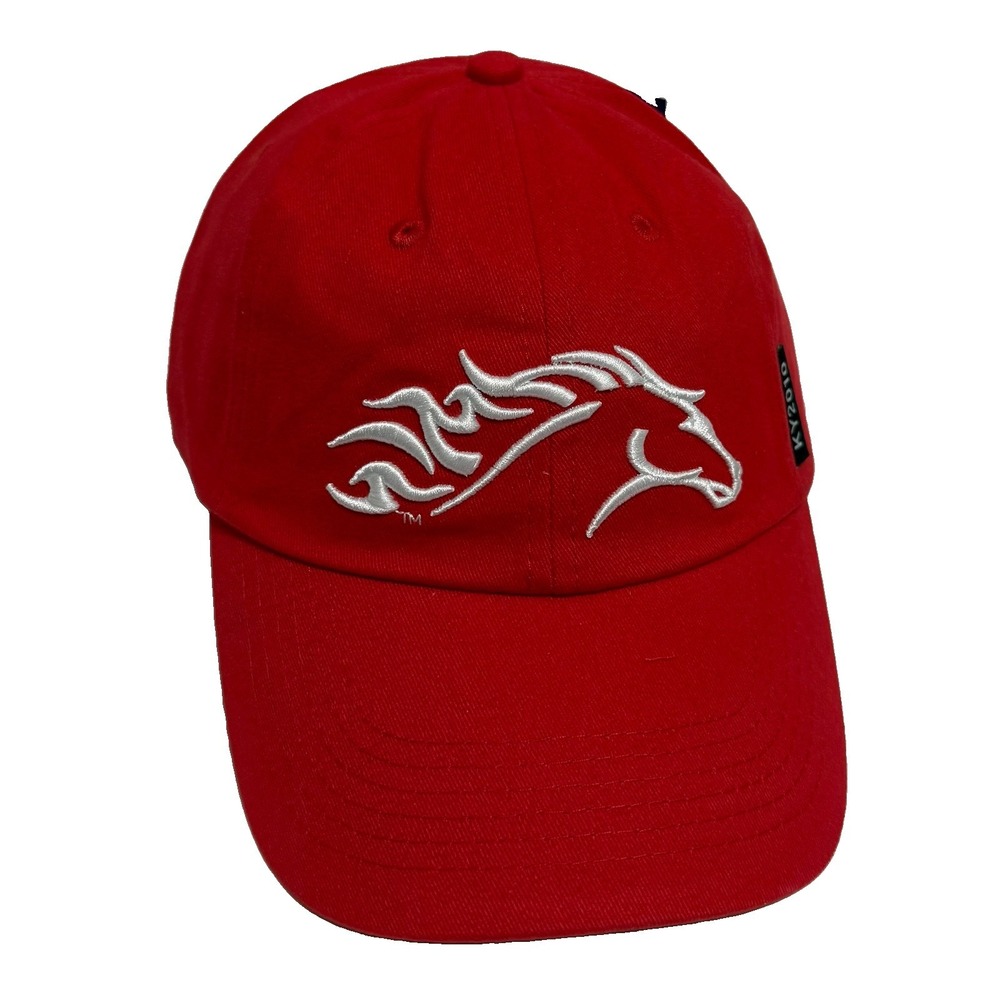 NWT FEI World Equestrian Games KY2010 Kentucky 2010 Baseball Hat Cap